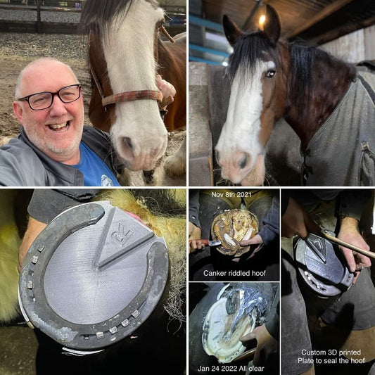 Freda's Second Chance: How Larkrigg Riding School and Dedicated Professionals Used 3D Printing Magic to Restore a Clydesdale's Joy